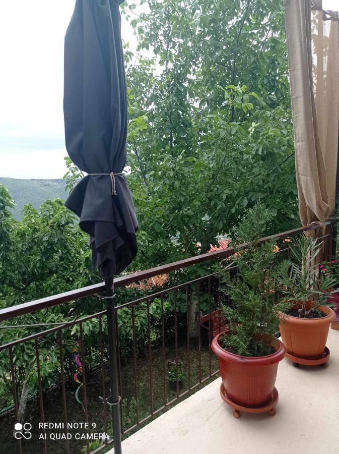 Άγρια Λούλουδα Κατοικία Αρμονία Timfristos Ngoại thất bức ảnh