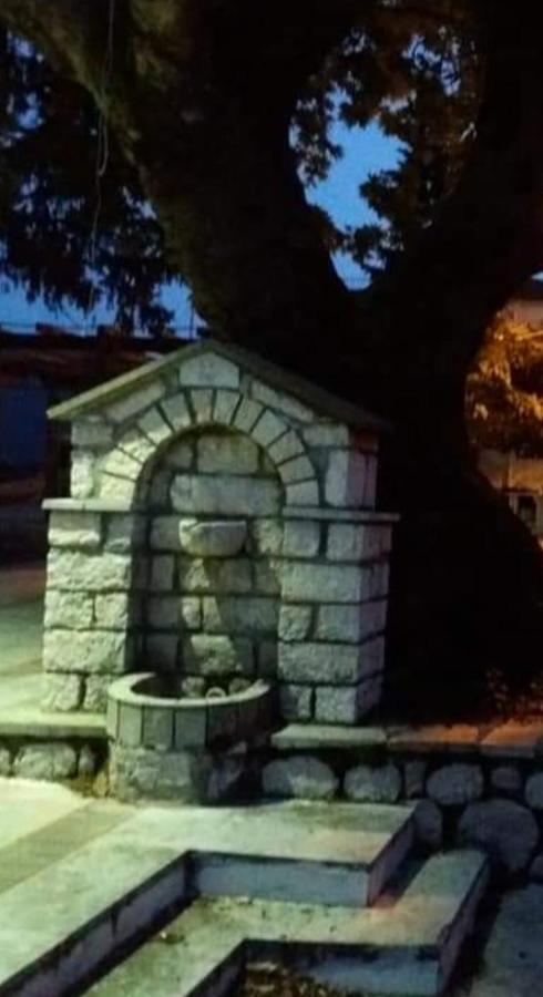 Άγρια Λούλουδα Κατοικία Αρμονία Timfristos Ngoại thất bức ảnh